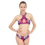 Love the tiger High Neck Bikini Set