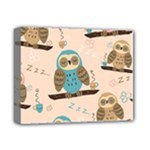 Seamless Pattern Owls Dream Cute Style Pajama Fabric Deluxe Canvas 14  x 11  (Stretched)