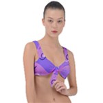 Colorful Labstract Wallpaper Theme Front Tie Bikini Top