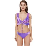 Colorful Labstract Wallpaper Theme Low Cut Ruffle Edge Bikini Set