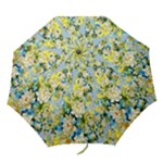 Background-flowers Folding Umbrellas
