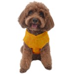 Background-yellow Dog Sweater