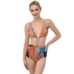Water Screen Tied Up Two Piece Swimsuit