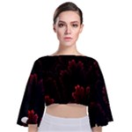 Amoled Red N Black Tie Back Butterfly Sleeve Chiffon Top