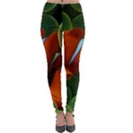 Fish Lightweight Velour Leggings