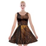 Gold, Golden Background Velvet Skater Dress