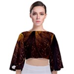 Gold, Golden Background Tie Back Butterfly Sleeve Chiffon Top