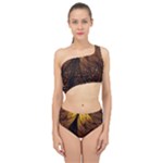 Gold, Golden Background Spliced Up Two Piece Swimsuit