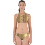 Golden Textures Polished Metal Plate, Metal Textures Perfectly Cut Out Bikini Set