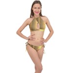 Golden Textures Polished Metal Plate, Metal Textures Cross Front Halter Bikini Set