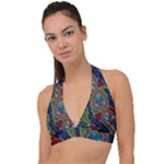 Authentic Aboriginal Art - Walking the Land Halter Plunge Bikini Top