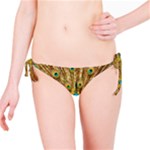 Peacock Feather Bird Peafowl Bikini Bottoms