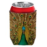 Peacock Feather Bird Peafowl Can Holder
