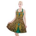 Peacock Feather Bird Peafowl Halter Party Swing Dress 