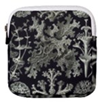 Weave Haeckel Lichenes Photobionten Mini Square Pouch