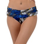 Knight Armor Frill Bikini Bottoms