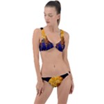 Skyline Frankfurt Abstract Moon Ring Detail Crop Bikini Set