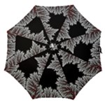 Abstract Complex Fractal Math Straight Umbrellas