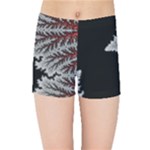 Abstract Complex Fractal Math Kids  Sports Shorts