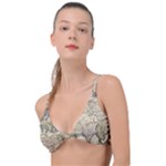 Tartaria Empire Vintage Map Knot Up Bikini Top