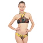 Forest Owl Art Snow Winter High Neck Bikini Set