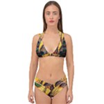 Peacock Feather Native Double Strap Halter Bikini Set