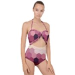 Pink Roses Flowers Love Nature Scallop Top Cut Out Swimsuit
