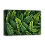 Green leaves Deluxe Canvas 18  x 12  (Stretched)