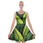 Banana leaves pattern Velvet Skater Dress