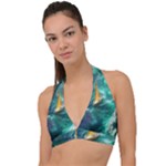 Mountain Birds River Sunset Nature Halter Plunge Bikini Top