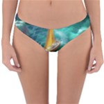 Dolphins Sea Ocean Reversible Hipster Bikini Bottoms