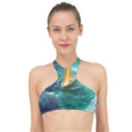 Dolphin Sea Ocean High Neck Bikini Top