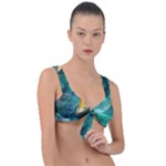 Dolphins Sea Ocean Front Tie Bikini Top