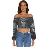 Lion King Of The Jungle Nature Long Sleeve Crinkled Weave Crop Top
