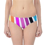 Colorful Multicolor Colorpop Flare Hipster Bikini Bottoms