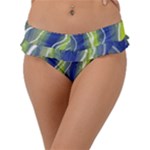 Texture Multicolour Gradient Grunge Frill Bikini Bottoms