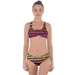 Rainbow Wood Digital Paper Pattern Criss Cross Bikini Set