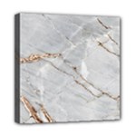 Gray Light Marble Stone Texture Background Mini Canvas 8  x 8  (Stretched)