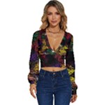 Abstract Painting Colorful Long Sleeve Deep-V Velour Top