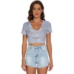Gray Light Marble Stone Texture Background V-Neck Crop Top