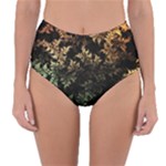 Fractal Patterns Gradient Colorful Reversible High-Waist Bikini Bottoms