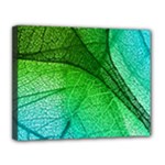 3d Leaves Texture Sheet Blue Green Canvas 14  x 11  (Stretched)