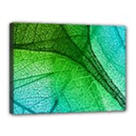 3d Leaves Texture Sheet Blue Green Canvas 16  x 12  (Stretched)