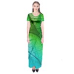 3d Leaves Texture Sheet Blue Green Short Sleeve Maxi Dress