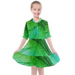 3d Leaves Texture Sheet Blue Green Kids  All Frills Chiffon Dress