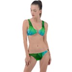 3d Leaves Texture Sheet Blue Green Ring Detail Crop Bikini Set