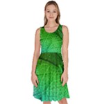 3d Leaves Texture Sheet Blue Green Knee Length Skater Dress With Pockets