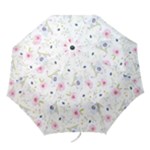 Background-1814372 Folding Umbrellas