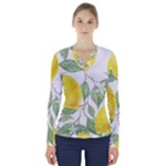 Fruit-2310212 V-Neck Long Sleeve Top