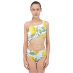 Fruit-2310212 Spliced Up Two Piece Swimsuit